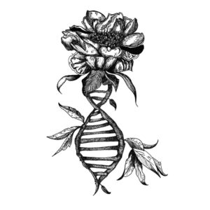 Fake Tattoo "Plantbased DNA"